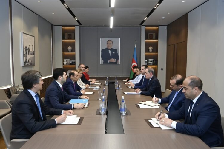 Azerbaijan and Turkic Investment Fund discuss joint investment outlook (PHOTO)