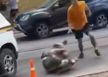 VIDEO | A Ukrainian man knocks out army officers who stopped another man to take him into the army