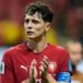 Czechia? You are part of Slovakia, right? South African fans are trolling the internet, the Czechs call theirs cowards – World Cup 2026 – Football