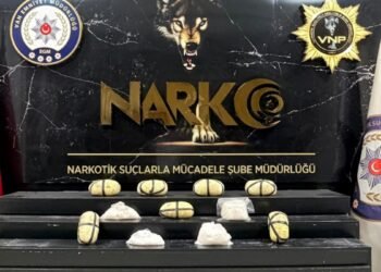 Drug operation in Van; 1 arrest
