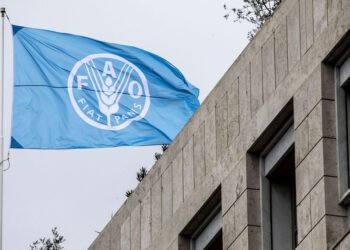 “FAO”: Global fertilizer trade declined by 30% due to the war in the Middle East – Al-Thawra Net