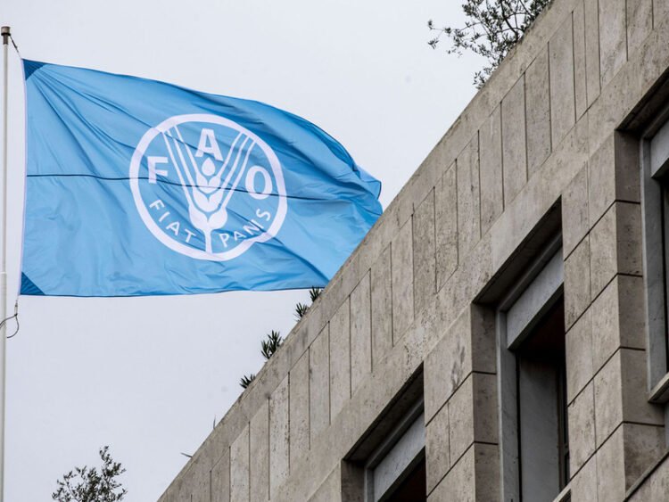 “FAO”: Global fertilizer trade declined by 30% due to the war in the Middle East – Al-Thawra Net