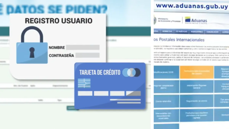 Customs explained the new controls for web purchases abroad: what data users must register