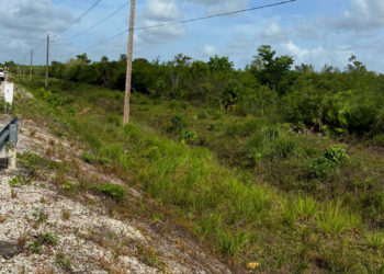 How Geraldine Hyde’s Property in Democracia Was Given Away