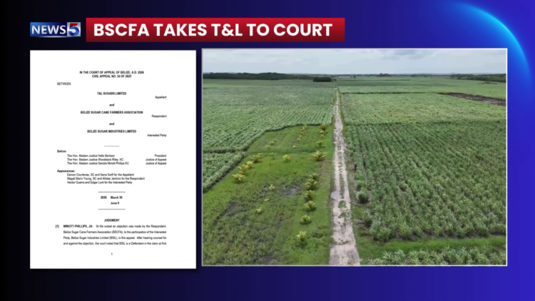 $9M Showdown Between Cane Farmers and Tate & Lyle Sugars Moves Forward