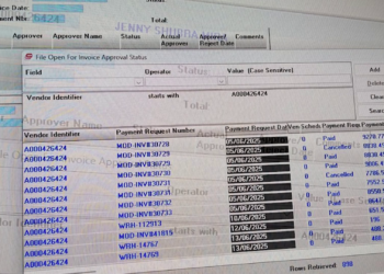 Calls for Answers After Leaks Reveal Extensive Payments to Mira Siblings