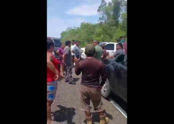 Controversy Brews Over Bush Stick Extraction in Indian Creek