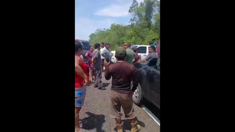 Controversy Brews Over Bush Stick Extraction in Indian Creek