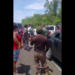 Controversy Brews Over Bush Stick Extraction in Indian Creek