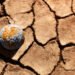 Bridging public and private funds: Luxembourg hosts International Climate Finance Days