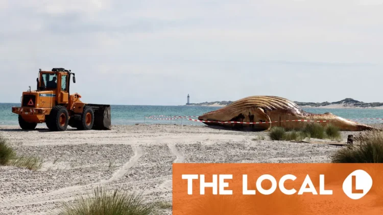 Today in Denmark: A roundup of the latest news on Friday