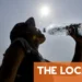 Explained: How dangerous are French heatwaves?