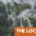Wildfires in France: Which départements are on alert?