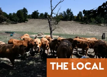 French farmers fear harvest fallout as heatwave kills livestock and cuts yields
