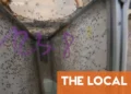Scaling up key as French firm bets on sterile mosquitoes