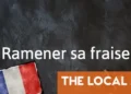 French Expression of the Day: Ramener sa fraise