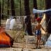 Climate shift: those long hot French summers from the 1970s can now be found in the Netherlands
