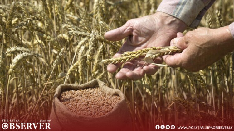 Economy ministry introduces new controls on grain imports