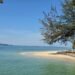 Barefoot luxury with a conscience at Ara Dinawan
