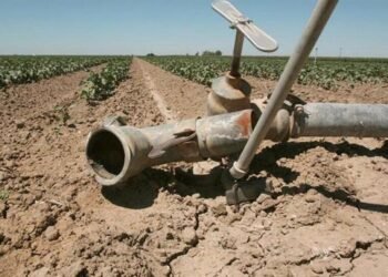 Farmers of Paphos: Protest about the water supply