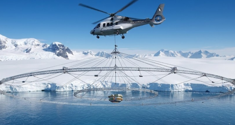 25-meter giant baboons will hunt submarines one by one
