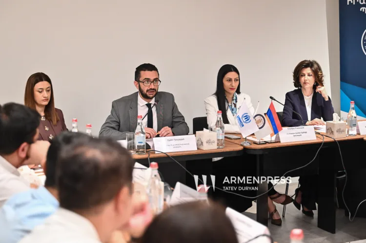 The first meeting of the Public Council for Asylum Seekers, Forced Displaced Persons and Refugees under the Human Rights Council was held.