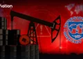 IMF economist warns global economy has fewer buffers against next shock