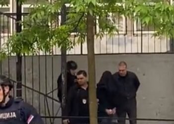 The parents of Kosta Kecmanovic were convicted