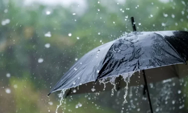 Special bulletin: Heavy rains exceeding 40 mm across 17 states – Al-Shorouk Online