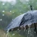 Special bulletin: Heavy rains exceeding 40 mm across 17 states – Al-Shorouk Online