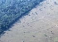 Archaeologists Find Hundreds of Ancient Glyphs in the Amazon