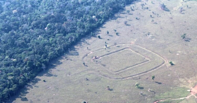 Archaeologists Find Hundreds of Ancient Glyphs in the Amazon