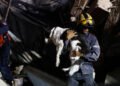 In Venezuela’s Rubble, a Search for the Family Pets