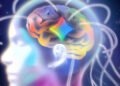 Apple’s Siri Got an A.I. Brain Transplant. Try These 5 Prompts to Get Acclimated.