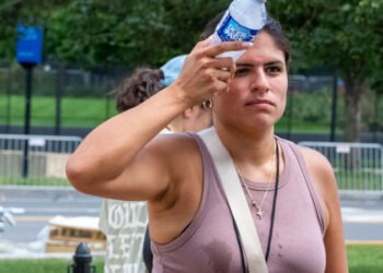 Live Updates: Brutal Heat Wave Broils Eastern U.S.
