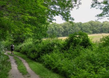 Black Soldiers In the Revolutionary War: A New England Journey