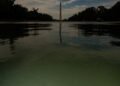 E Pluribus Algae: Why Green Pond Scum Is as American as Red, White and Blue