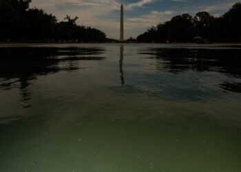 E Pluribus Algae: Why Green Pond Scum Is as American as Red, White and Blue