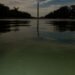 E Pluribus Algae: Why Green Pond Scum Is as American as Red, White and Blue