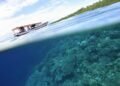 These are the best marine protected areas