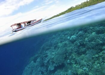 These are the best marine protected areas