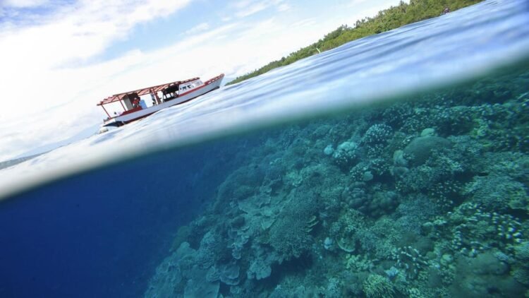 These are the best marine protected areas