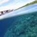 These are the best marine protected areas