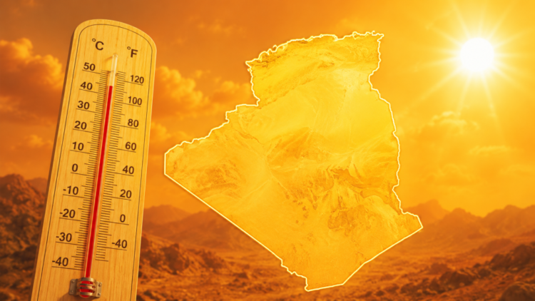 A record heat wave reaching 49° across these states – Al-Shorouk Online