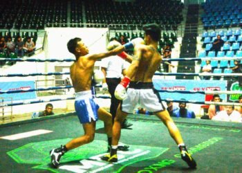 8 bouts held at Professional Boxing Matches 10