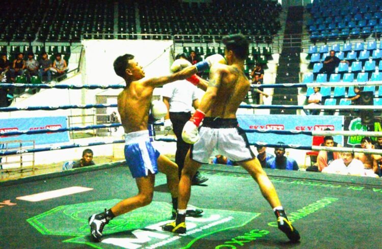 8 bouts held at Professional Boxing Matches 10