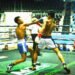 8 bouts held at Professional Boxing Matches 10
