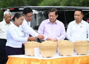 State Support Aims to Lift Cotton Yields