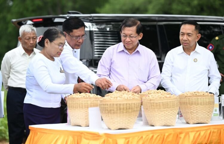 State Support Aims to Lift Cotton Yields