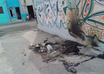 Pests: Bedbugs spread through a Havana turned into a garbage dump